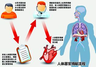 医生离世心脏抵京救4人，我国年器官捐献数量增33倍！