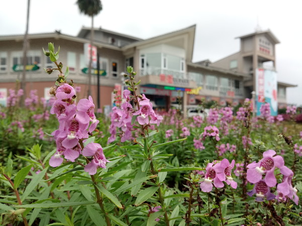 华硕飞马3s评测：5000mAh的长续航小屏手机