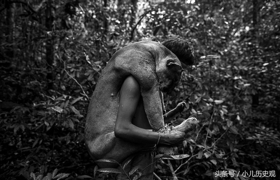 实拍亚马逊最后的原始部落:，靠打渔捕猎为生，与外界鲜有接触