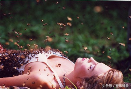 养蜂人患癌症几率最低，蜂王浆是功臣