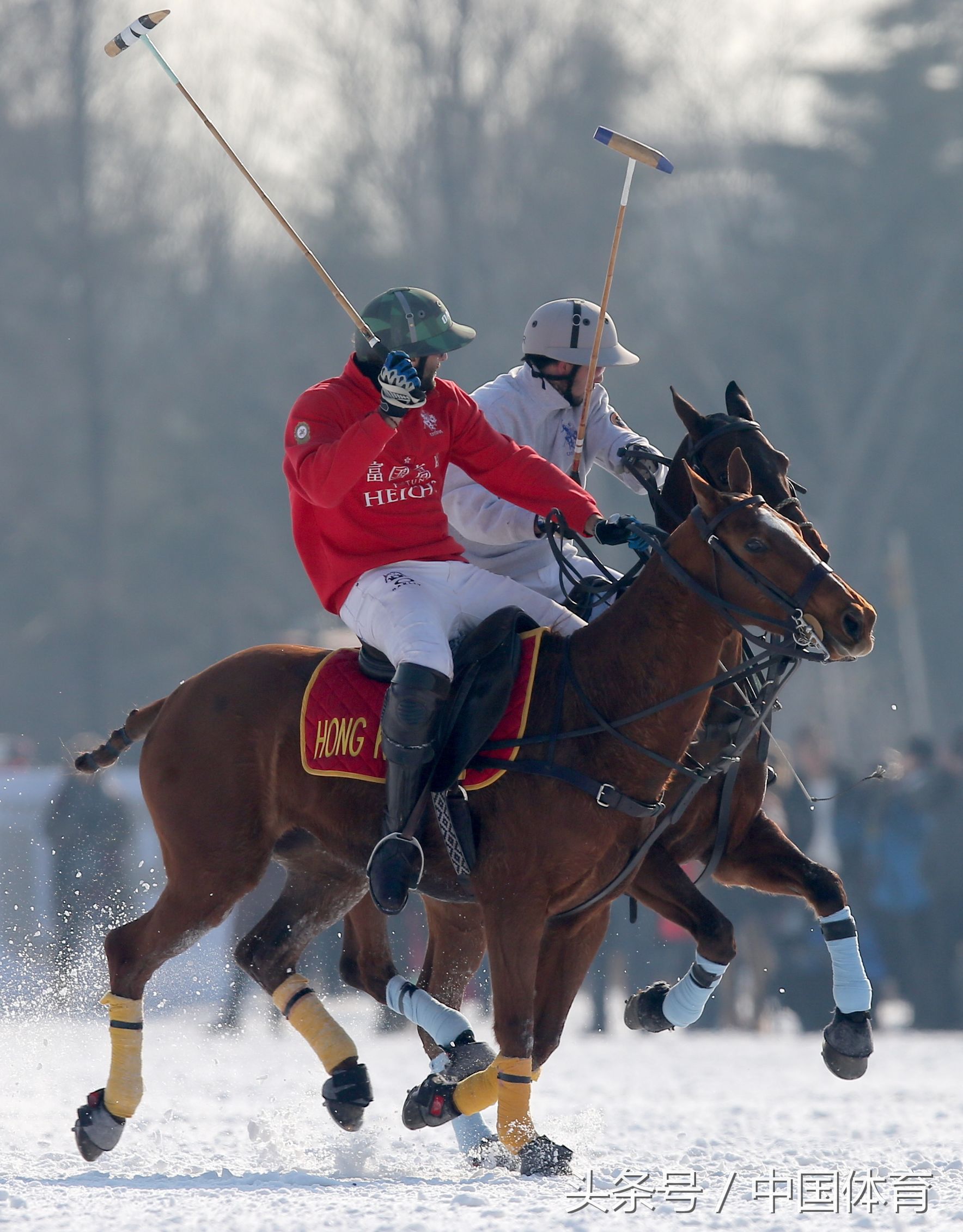 第六届天津富国高银雪地马球世界杯赛在津落幕