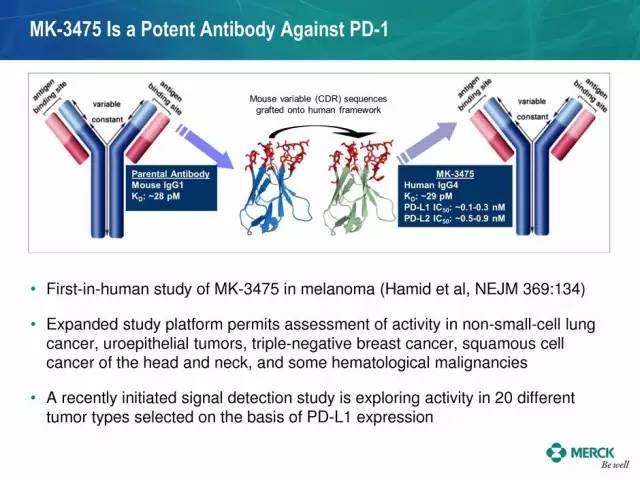 「盘点」2017年值得关注的PD-1/PD-L1抗体临床实验