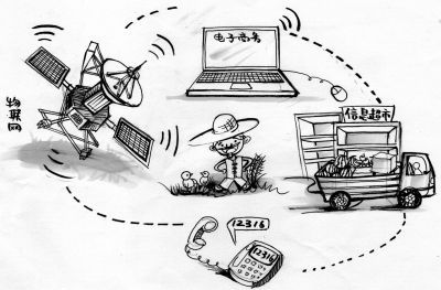 新时代农民如何搭上互联网致富的顺风车