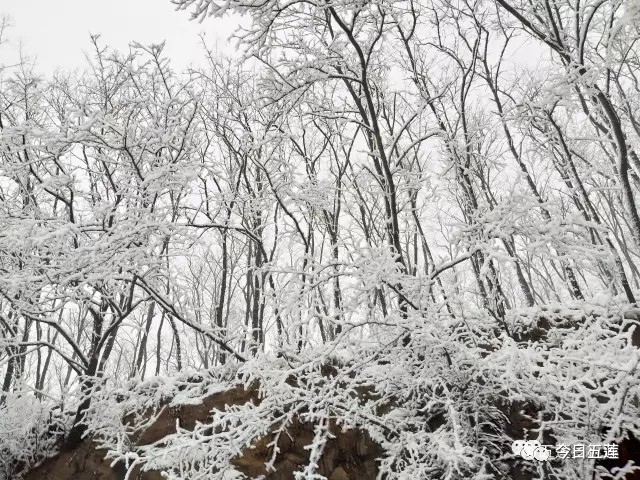 五莲新春第一场雪，秒变人间仙境！