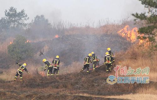 鹰潭北站附近荒草起火危及电缆 消防人员及时扑救