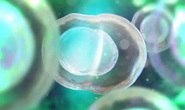 PNAS：科学家证实诱导多能干细胞并不会增加遗传突变发生的概率