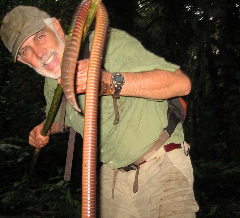 真实拍到的10大巨型不明生物 世界上最可怕的变异动物
