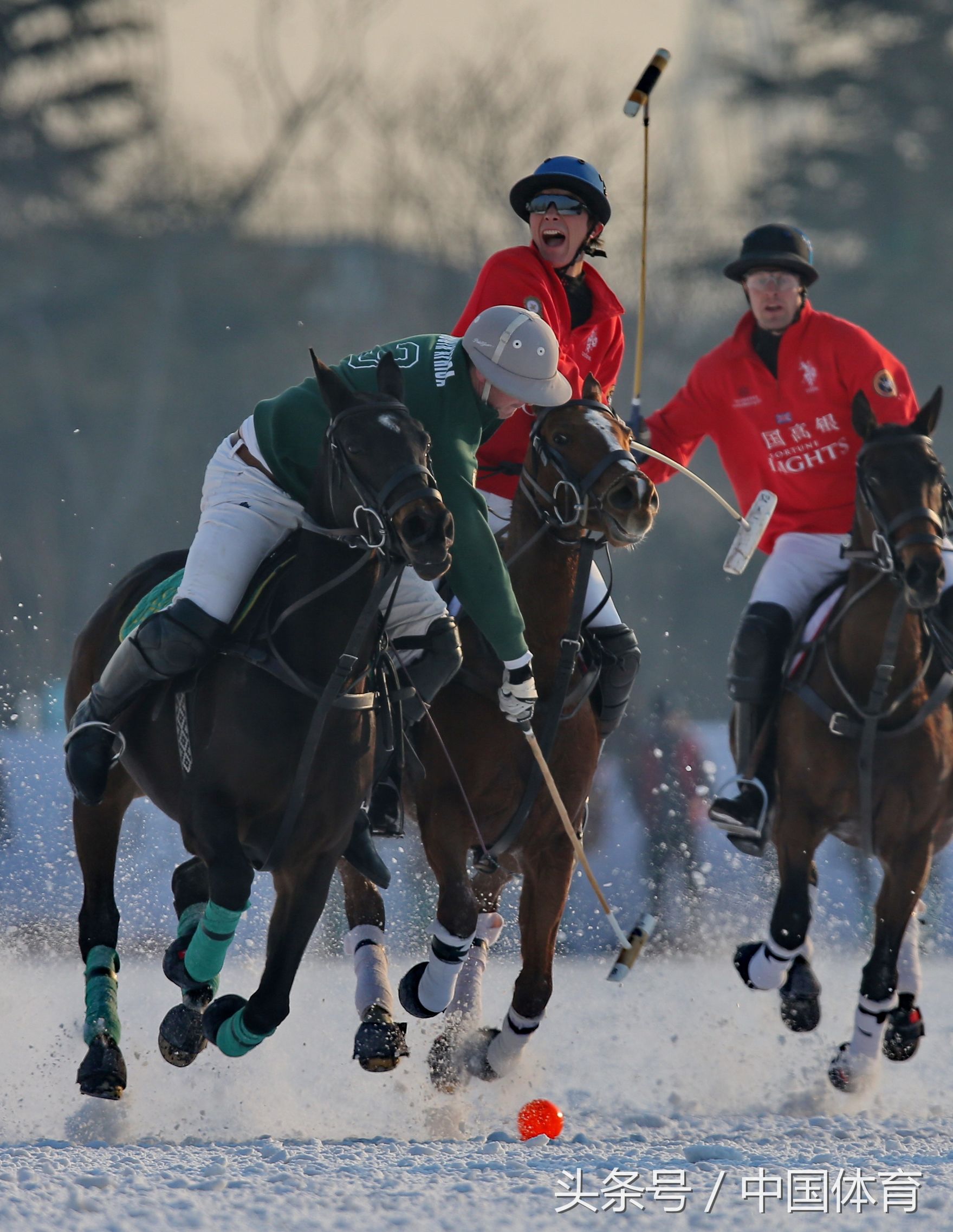 第六届天津富国高银雪地马球世界杯赛在津落幕
