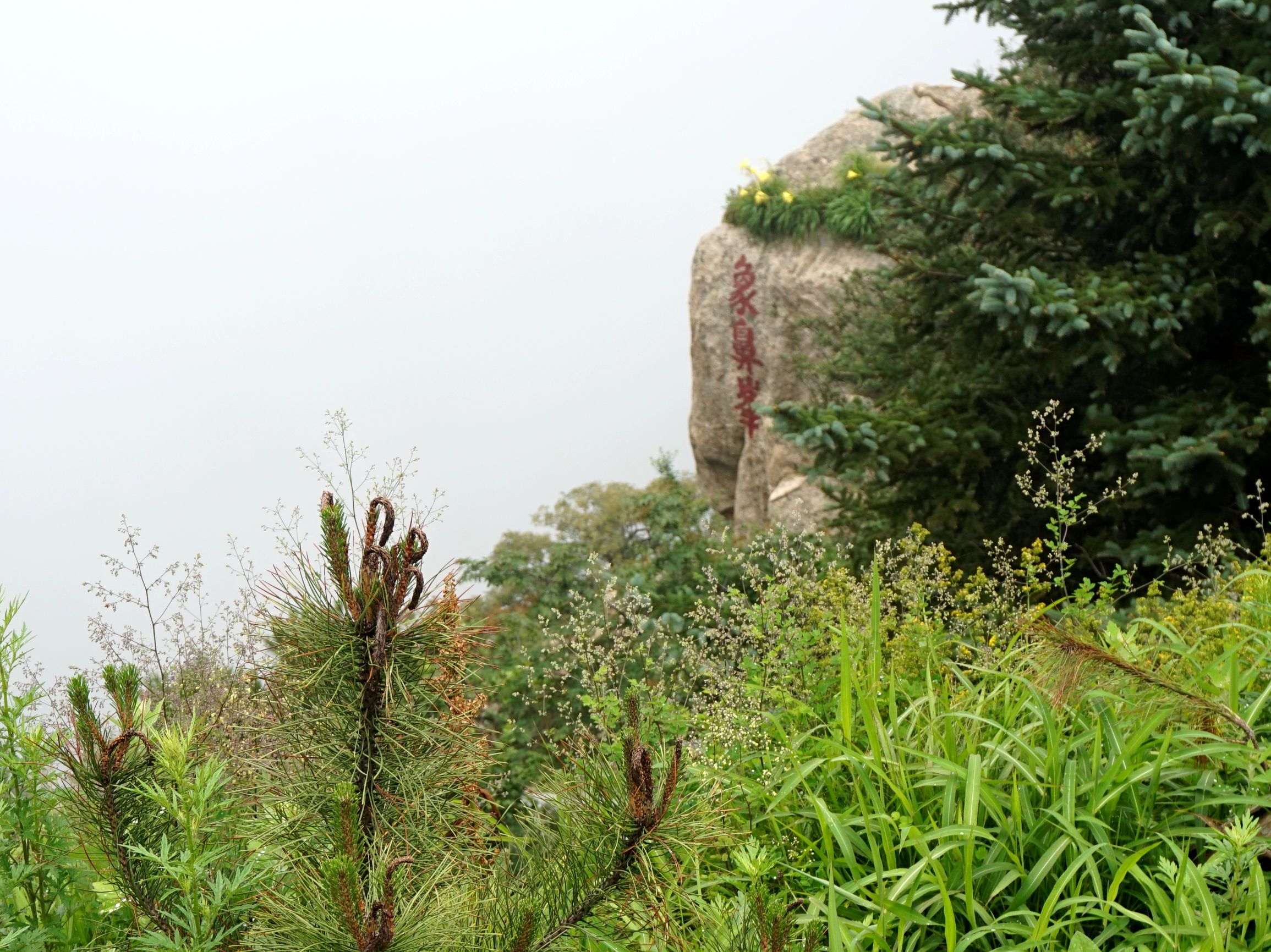 岱宗是什么山的别称（知识科普岱山的别名大全）