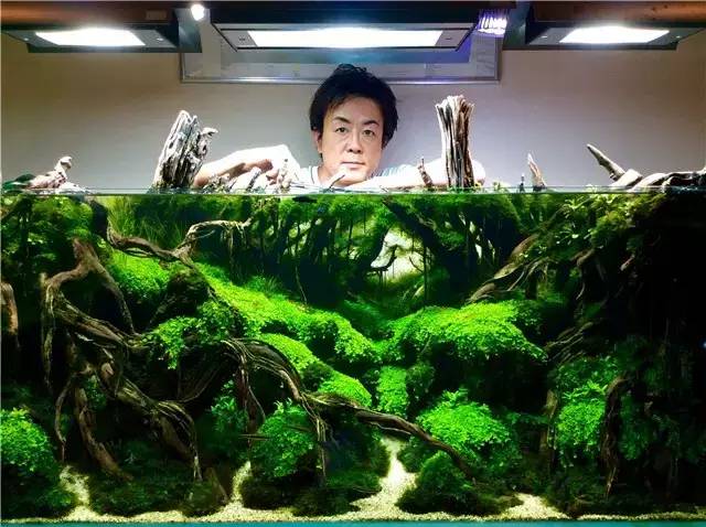 极致美的日本匠人精神:带您走进深田崇敬的水族世界