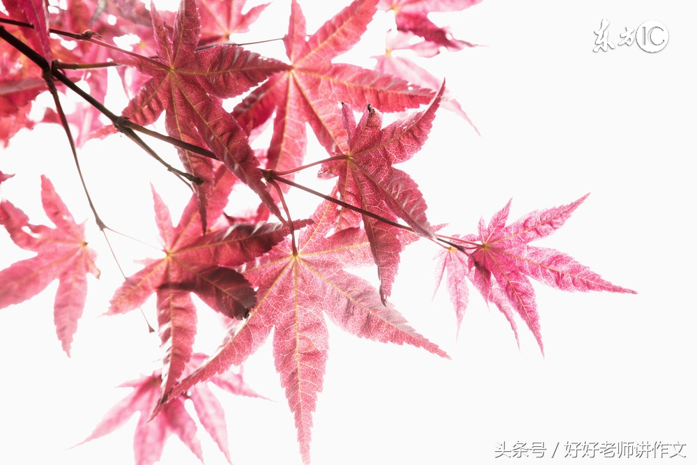 情人节，请您欣赏歌咏爱情最美的古诗词名句！-第14张图片-非凡网