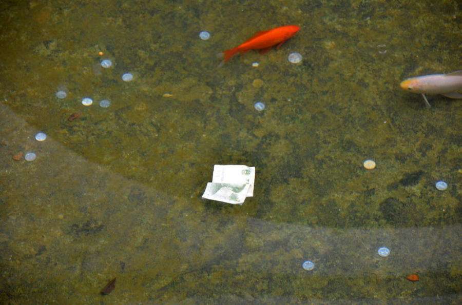 泉州人去寺庙为何喜欢往放生池里扔钱，莫非是因为钱多？