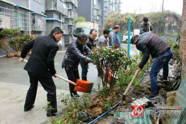 洪江区沅江路街道组织开展植树暨平安创建宣传活动