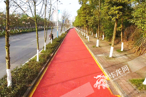 重庆大学城自行车道换新装 自行车慢行系统提升城市品质