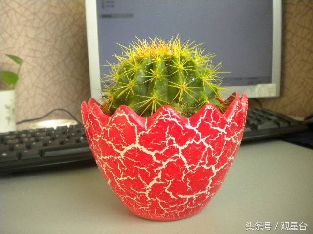 亮剑封喉，一招教你斩断丈夫今年的“烂桃花”！
