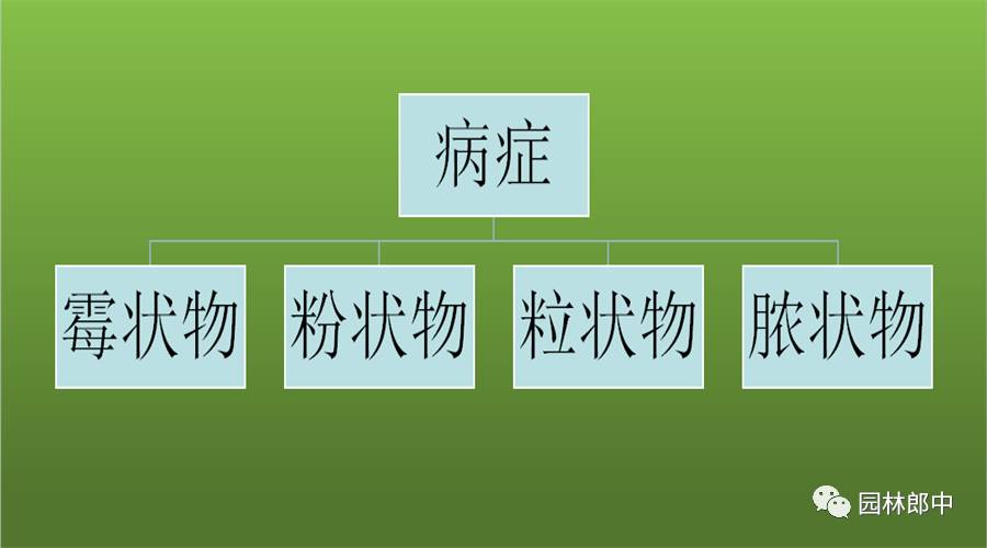 要想防治园林病害，这些基础知识你必须知道！-第7张图片-农百科