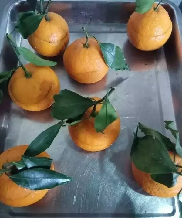 这道湖南大学用橙子做得黑暗料理，该从哪里下嘴？
