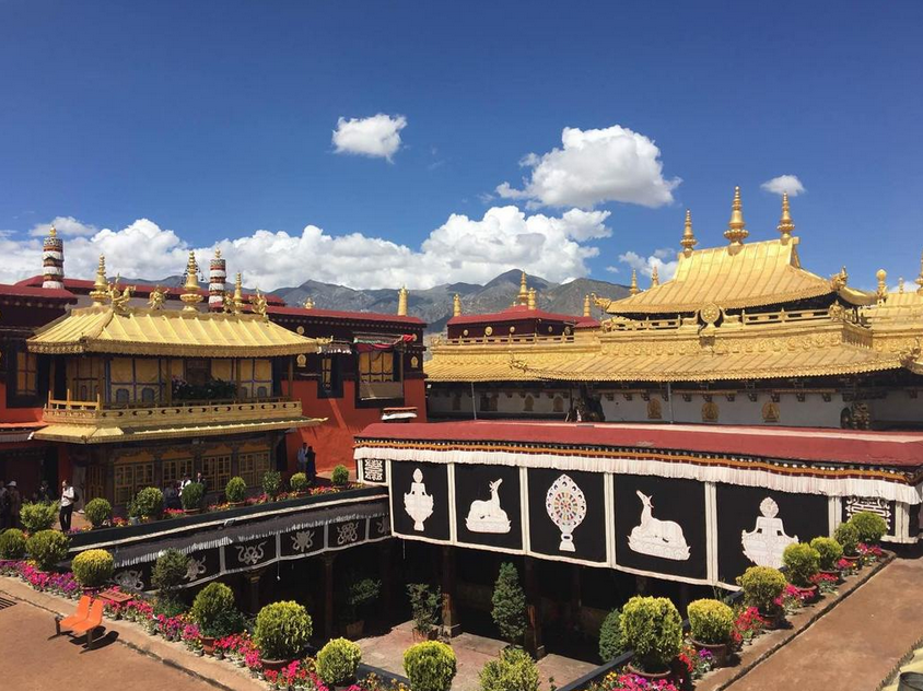 离天堂很近，梦也不远丨初见西藏的14日