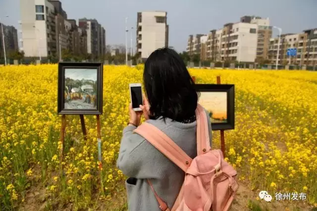 当油菜花遇见油画，徐州那片花海中有场“油菜花”的画展