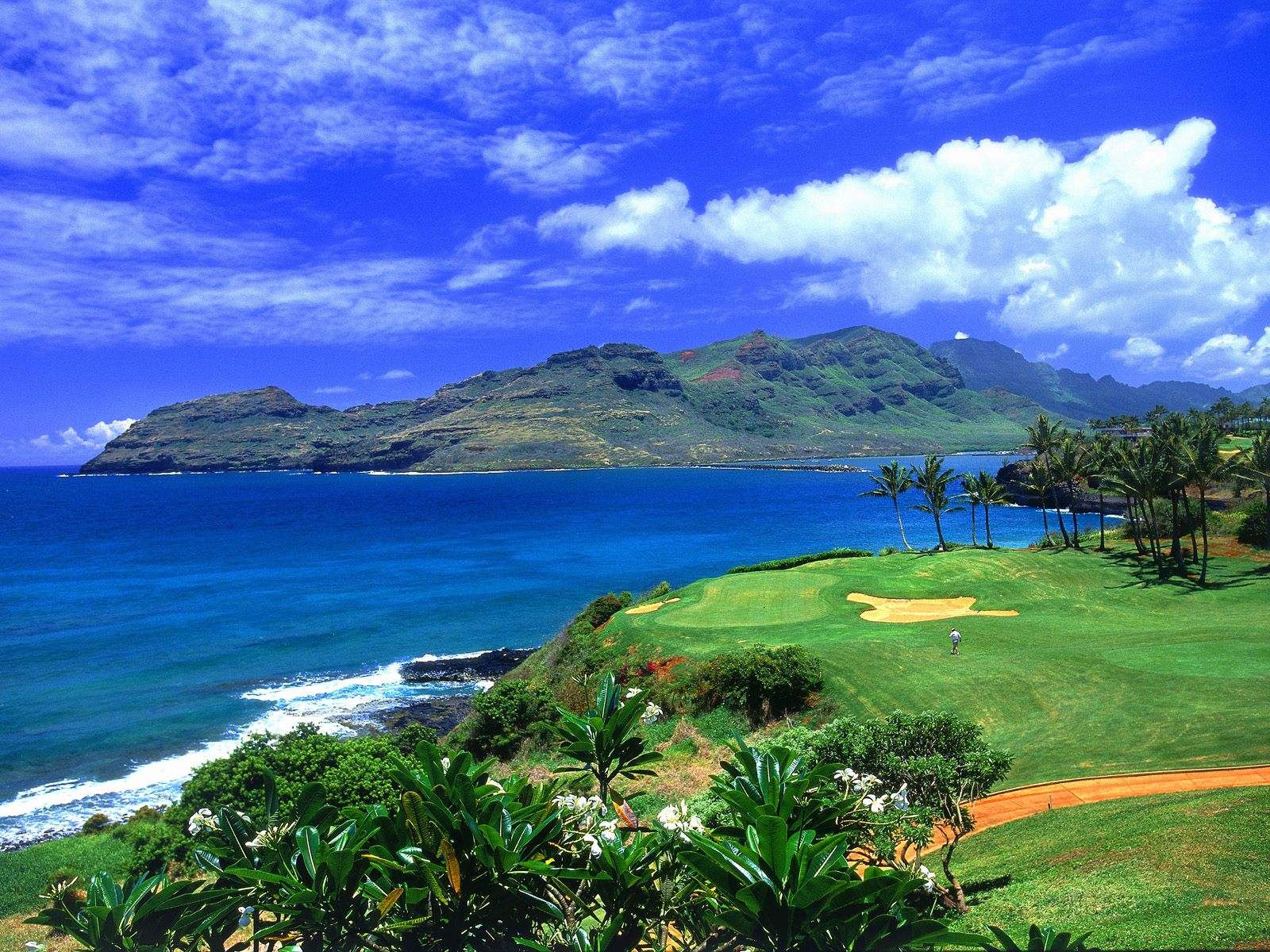 夏威夷为什么成为度假圣地？
