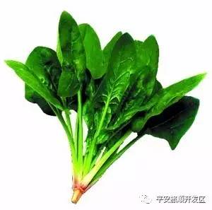 春季易上火,多吃哪些蔬菜最清火
