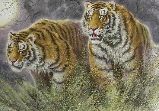 解析:1974年属虎人是什么命?