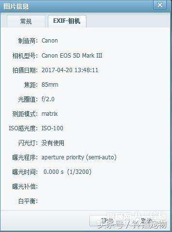 Leave " demons and ghosts " , pat a dog to pay attention to pair of Jiao Xun fast agile