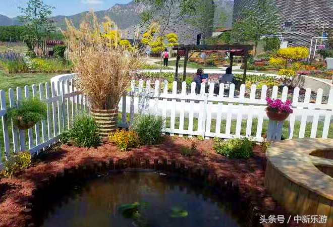 走近世园花卉-2017精品花园之圆趣·