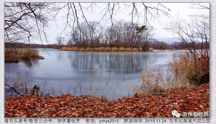 日本北海道大沼公园 明治天皇曾驻跸于此 枯季之美让人难忘
