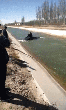 见过车上放水的,你放个菜花是什么意思!