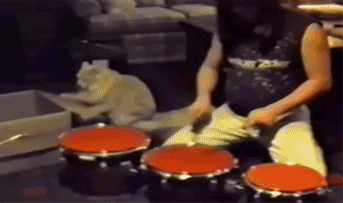 见过车上放水的,你放个菜花是什么意思!