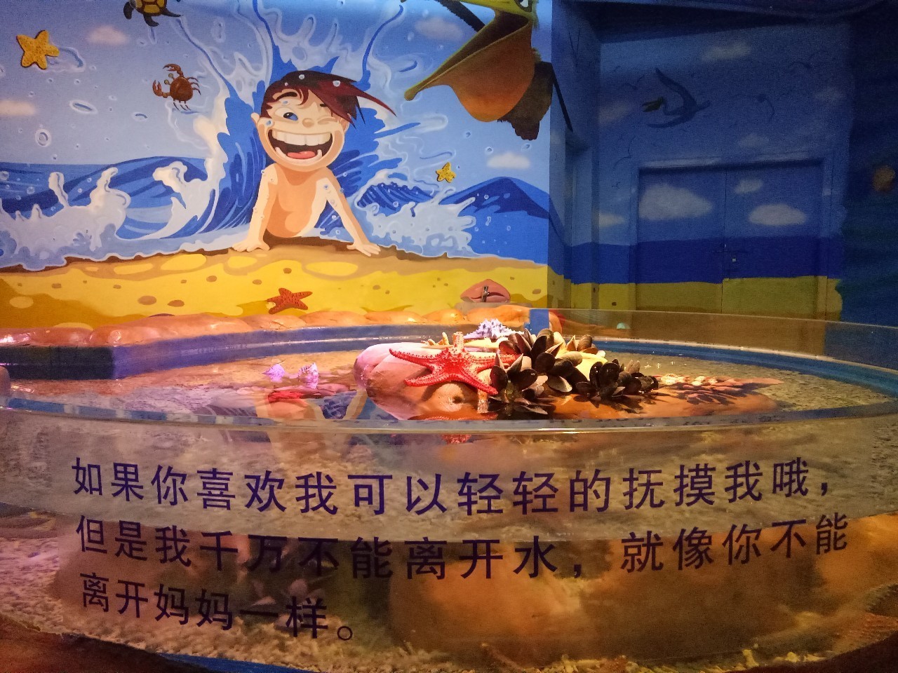 重庆汉海海洋公园今日奇幻启幕！GIF动图抢先看！