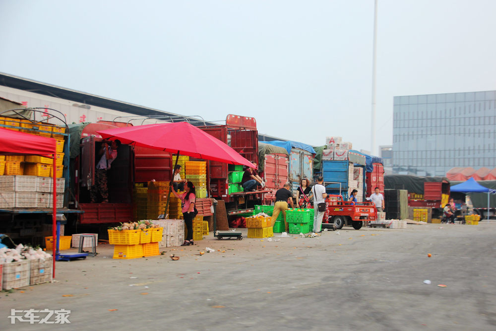 押車賣貨隨處可見 實(shí)地探訪成都水果市場(chǎng)早市