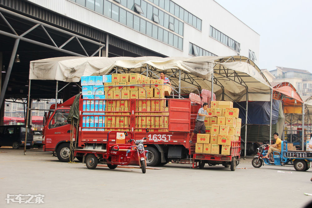 押车卖货随处可见 实地探访成都水果市场早市