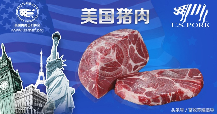 猪价暴跌，行情再次变脸，下半年猪市会跌成“满地猪毛”吗？
