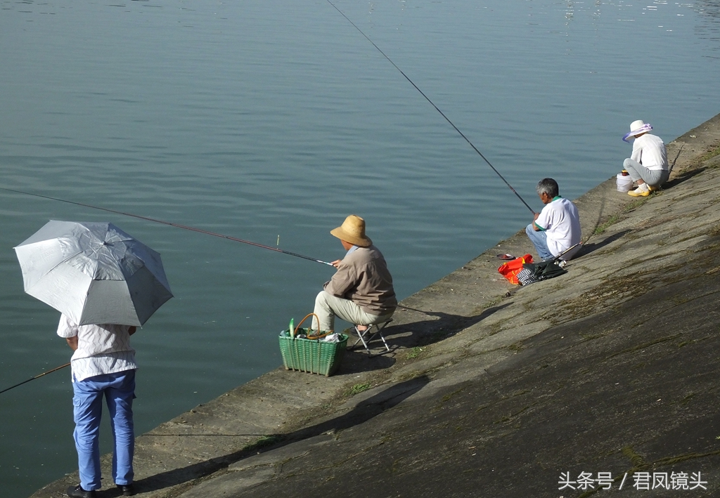 钓鱼之趣：垂钓者萌态百出