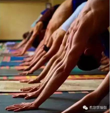 瑜伽练习—关注你的手腕