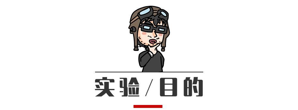 冒死实测：汽车行驶中，车门落锁后能打开车门吗？