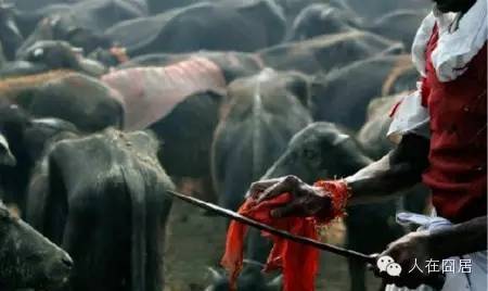 The secret of Spring Festival have a change of luck wants unexpectedly