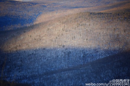 在“中国最冷小镇”大兴安岭呼中的大白山麓挑战极寒