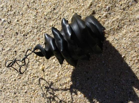 男子海滩散步发现鲨鱼卵对着阳光看到神奇一幕