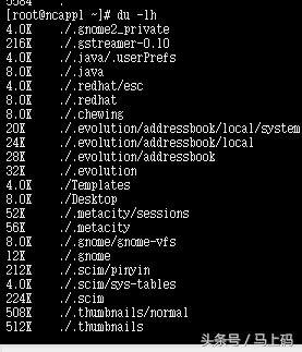 我在学linux——（必学命令）磁盘、文件相关基础实操篇（简单、方便、易记）父亲节特别篇