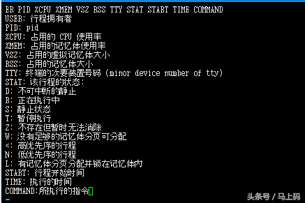 我在学linux——（必学命令）磁盘、文件相关基础实操篇（简单、方便、易记）父亲节特别篇