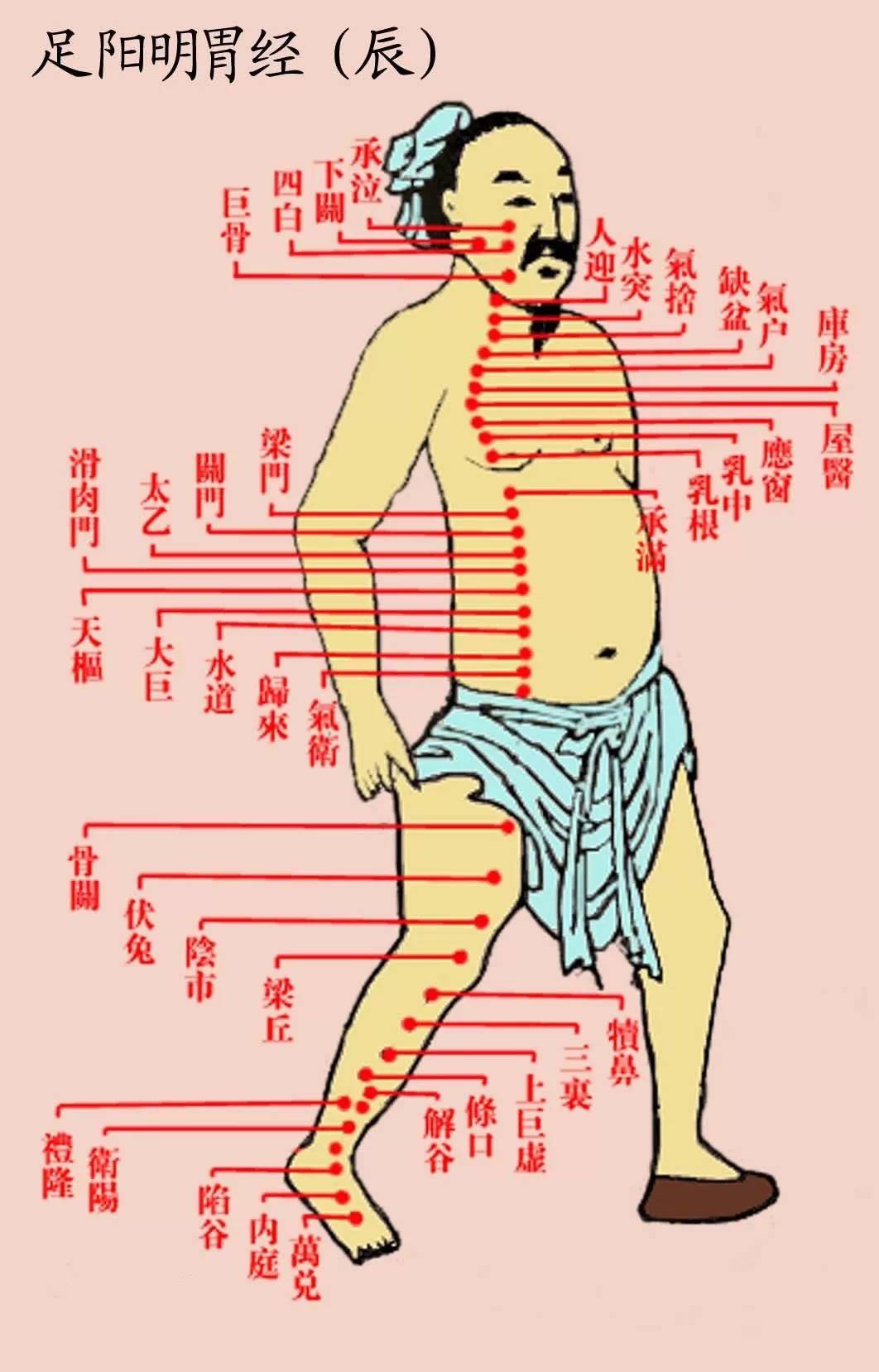 所以说,鼻炎可归属与阳明经病,在经方体系中,阳明病的主方为