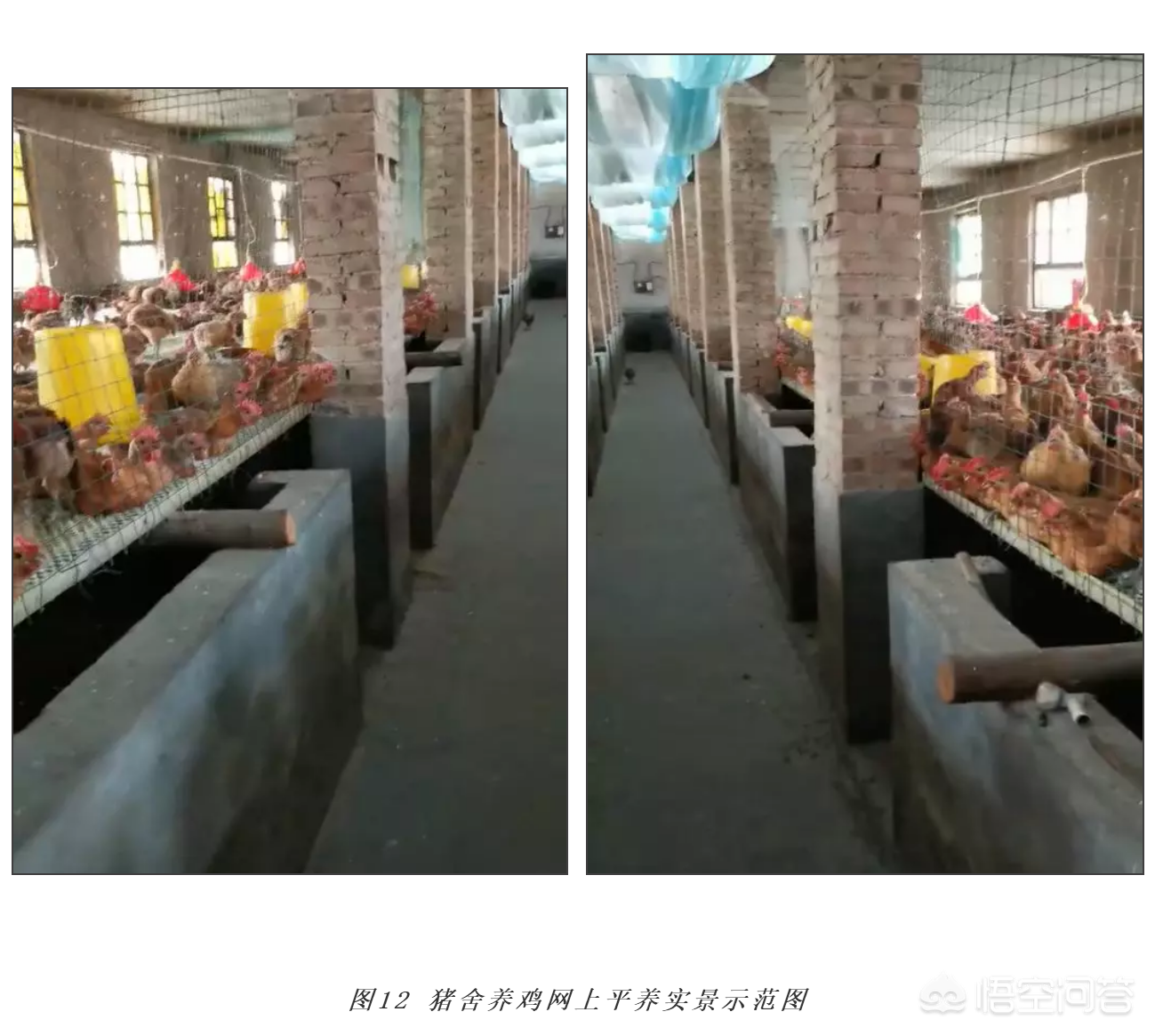 Piggery tardy empty column cannot find an outlet, the following means takes you to become rich