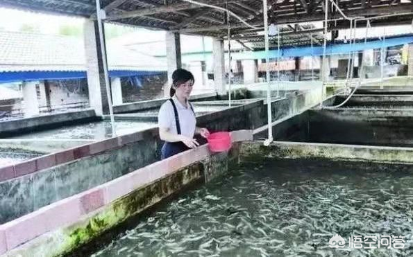 Piggery tardy empty column cannot find an outlet, the following means takes you to become rich