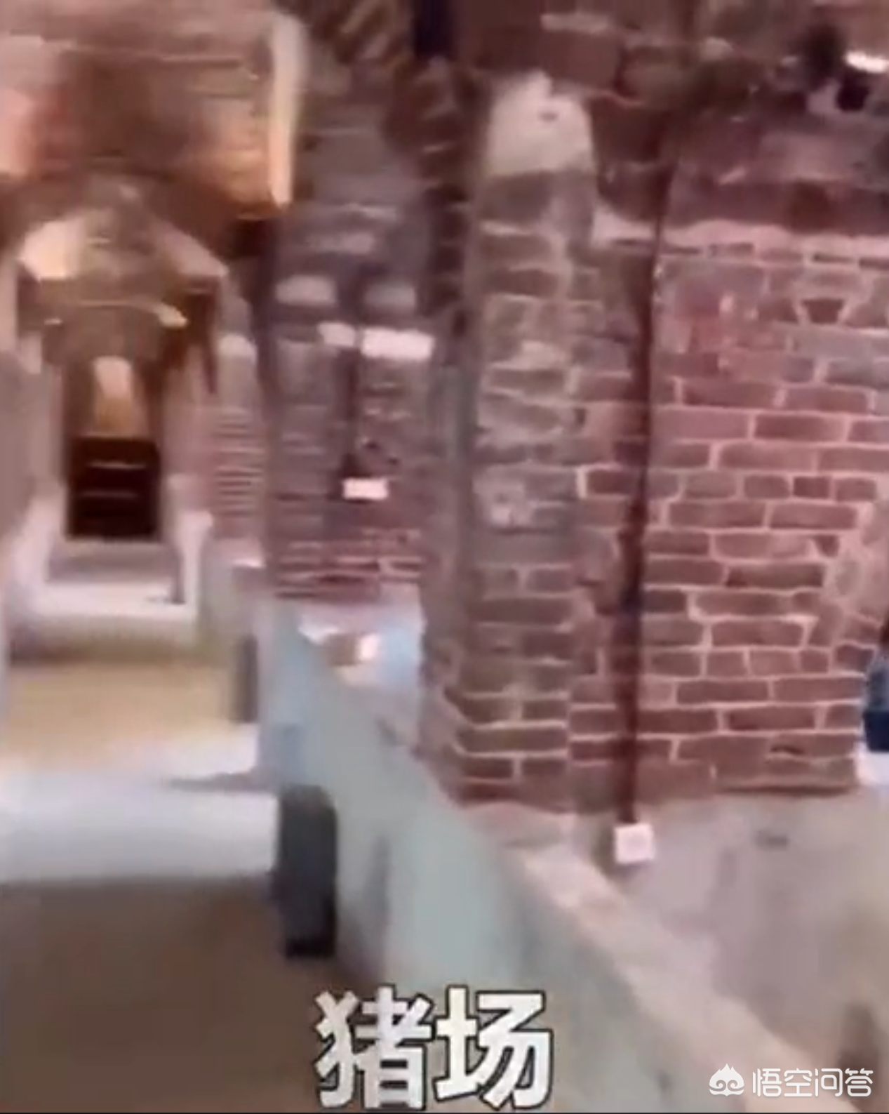 Piggery tardy empty column cannot find an outlet, the following means takes you to become rich