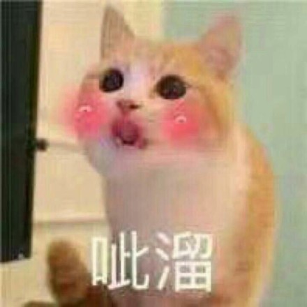 猫咪表情包 惊讶又期待的眼神 惊讶震惊 搞起啦表情图片网