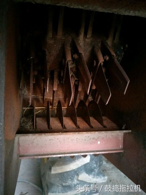 收割機上加裝一粉碎機，農(nóng)民都說來年一定選這車收割小麥，車主直說不漲價