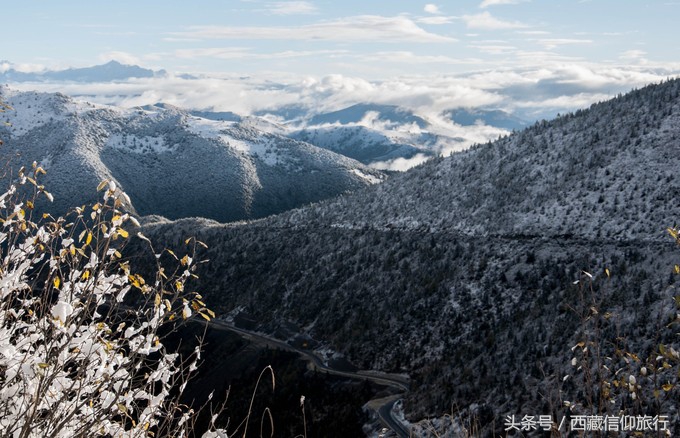 四川下雪了,7月丨川藏线约吗?